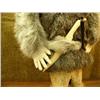 Image 6 : CHOICE on 2: sixteen inch whale bone and ivory doll with ivory hands, face, knife, tipped-arrows, an