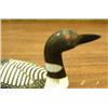 Image 2 : CHOICE on 3: four inch Common loon (2)