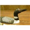 Image 3 : CHOICE on 3: four inch Common loon (2)