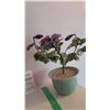 Image 2 : Glass Bonsai Tree A