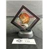 Image 1 : Ammonite Fossil Specimen MSRP $180.00
