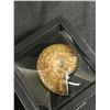 Image 2 : Ammonite Fossil Specimen MSRP $180.00