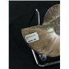 Image 3 : Ammonite Fossil Specimen MSRP $600.00