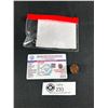 Image 1 : 5 Face Rudraksha w/ Certificate MSRP $180.00