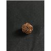 Image 2 : 5 Face Rudraksha w/ Certificate MSRP $180.00