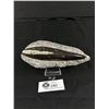 Image 1 : 7" Orthoceras Fossil Specimen MSRP $200.00