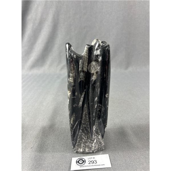 7" Orthoceras Fossil Plaque MSRP $1400.00