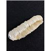 Image 3 : 3 Shell Stretch Bracelets All in Good Condition one Abalone Shell