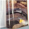Image 3 : Double Gun Journal Winter 1998