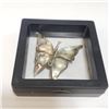 Image 4 : Silver Genuine Gemstone Butterfly Shgaped Broach (~Size 0) (~length 0 inches) (~weight 6.06g), Sugge
