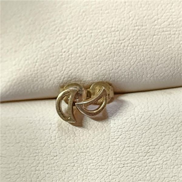 Silver Earrings, Suggested Retail Value $50