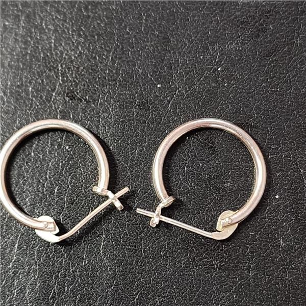 Silver Hoops Earrings, Suggested Retail Value $40