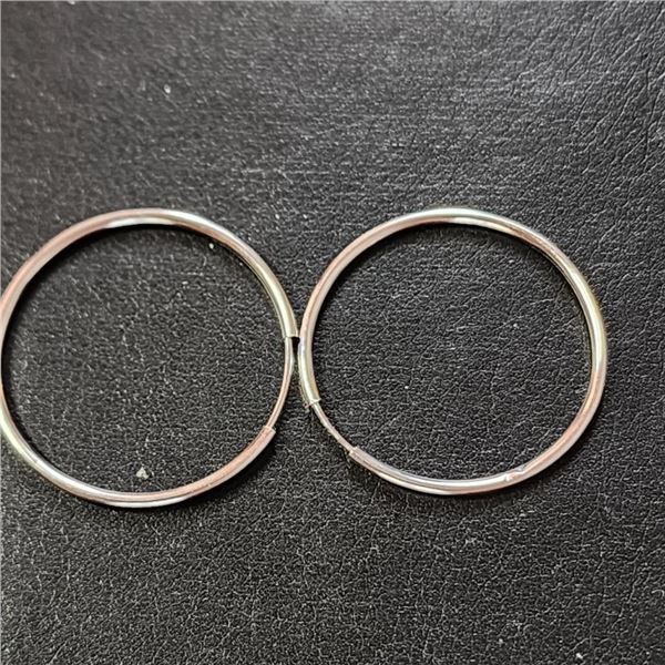Silver Hoops Earrings, Suggested Retail Value $50