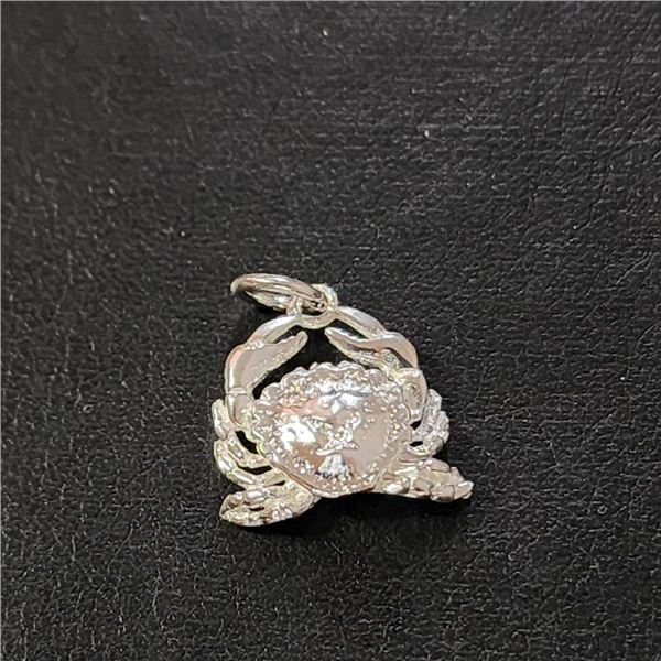 Silver Pendant (~Size 0) (~length 0 inches), Suggested Retail Value $50