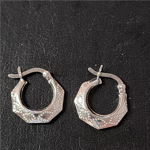 Silver Hoops Earrings (~Size 0) (~length 0 inches), Suggested Retail Value $60