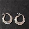 Image 1 : Silver Hoops Earrings (~Size 0) (~length 0 inches), Suggested Retail Value $60