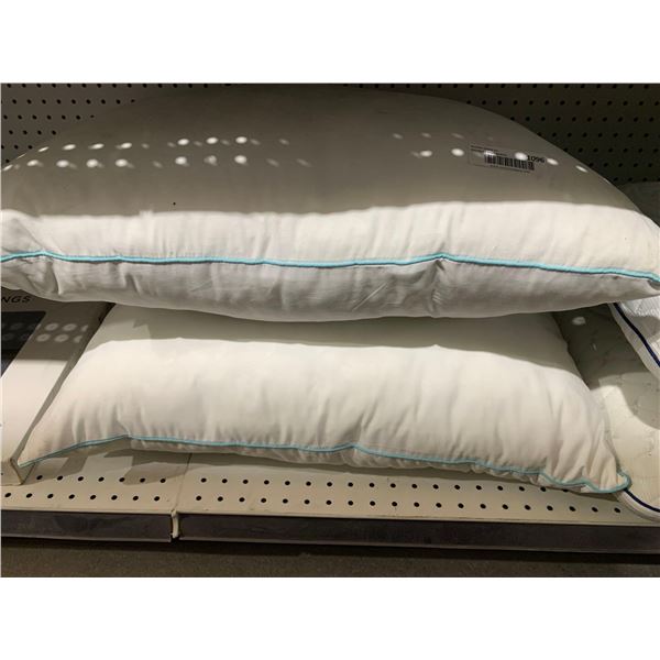 Lot of 2 Sealy Pillows Standard