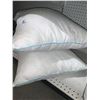 Image 3 : Lot of 2 Sealy Pillows Standard