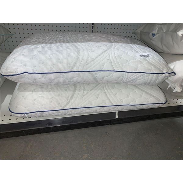 Lot of 2 Gel Pillows Standard