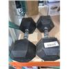 Image 1 : Lot of 2 30lb dumbells