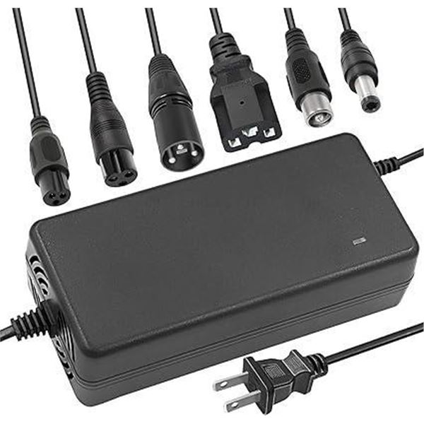 54.6V 2A Li ion Battery Charger Multiple Plugs Battery Charger 13S 48V