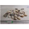 Image 1 : Assorted Seashells