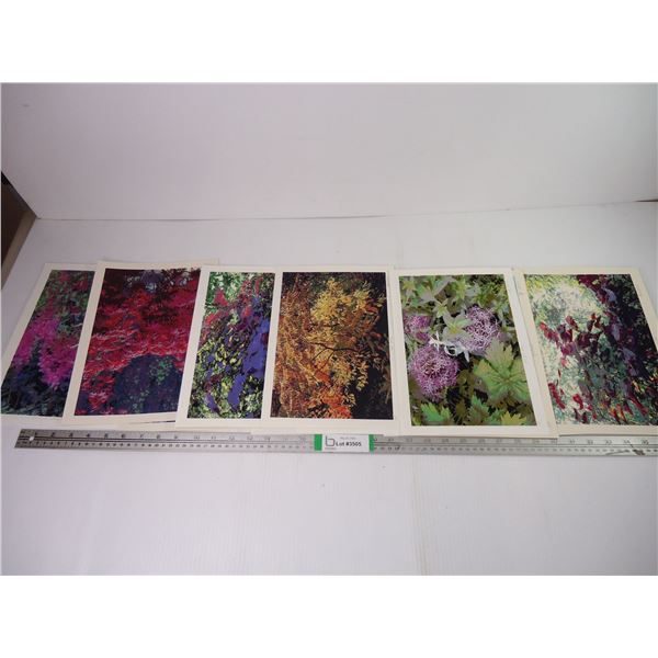 Portfolio of (12) Art Prints-Some Signed and Dated "A.E. 2000"