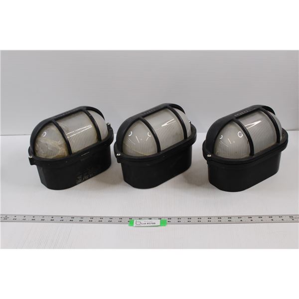 (3) Liteform Exterior Light Fixtures ( Two Of Three Lenses Are Cracked)