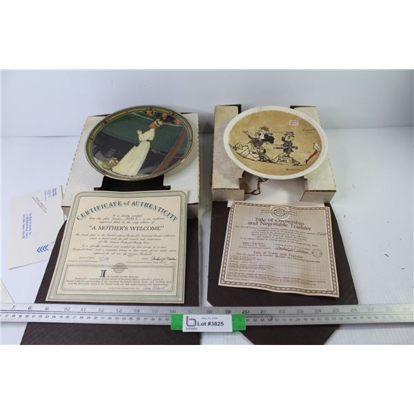 (2) Collector Plates