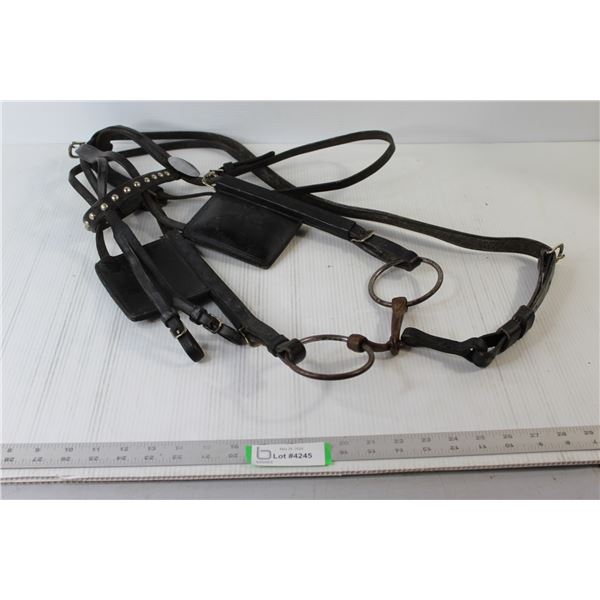 Horse Driving Bridle