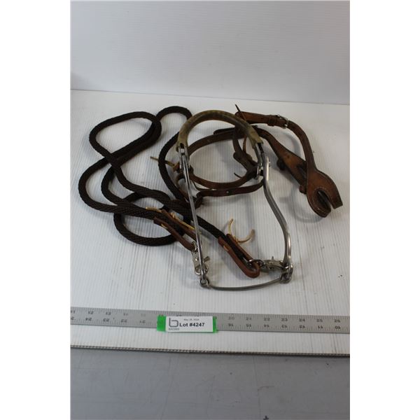Horse Hackamore Bridal & Reins
