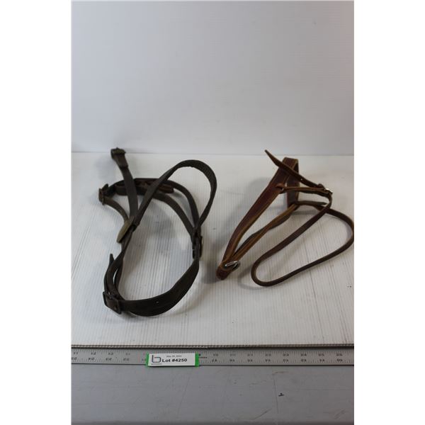 Horse Leather Head Stall & Nose Band
