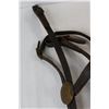 Image 2 : Horse Leather Head Stall & Nose Band