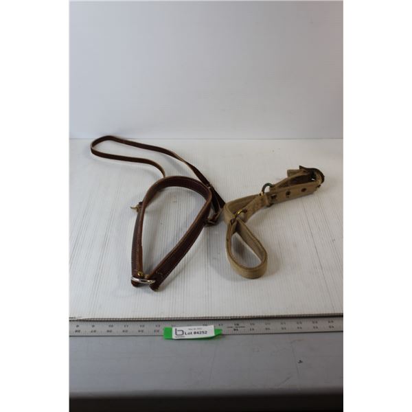 Horse Leather Nose Band & Nylon Hobbles