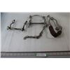 Image 1 : (2) Horse Bits & Horse Hackamore