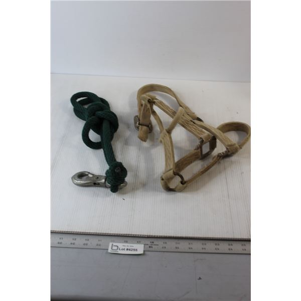 Horse Halter & Lead Rope