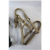 Image 3 : Horse Halter & Lead Rope
