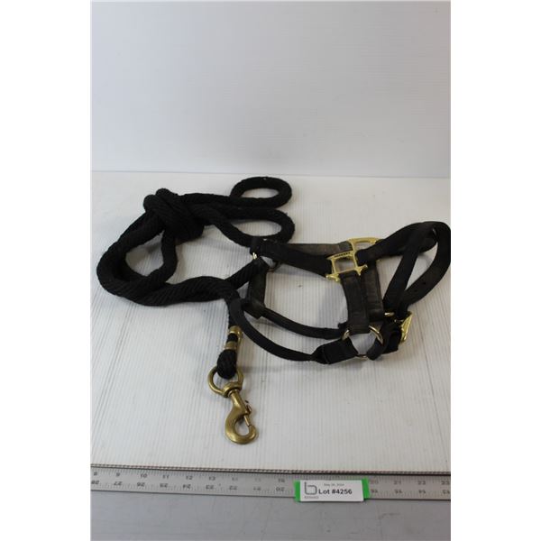 Horse Halter & Lead Rope