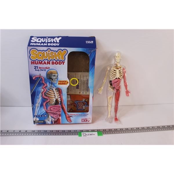 Steam Kids "Squishy" Human Body 3D Interactive
