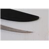 Image 2 : Filleting Knife and Holster