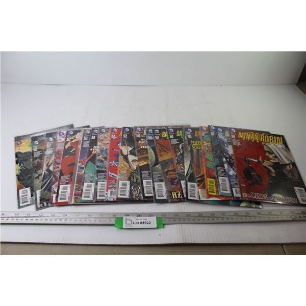 (20) DC Batman & Robin