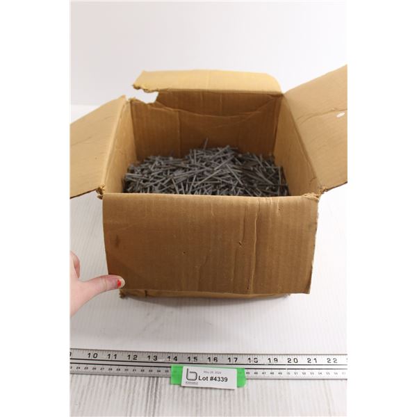 Box of Fence Nails