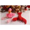 Image 5 : (13) Stuffed Animals - Ty Beanie Babies