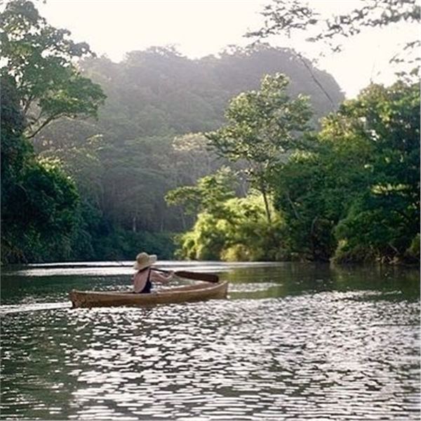 Belize Jungle Adventure
