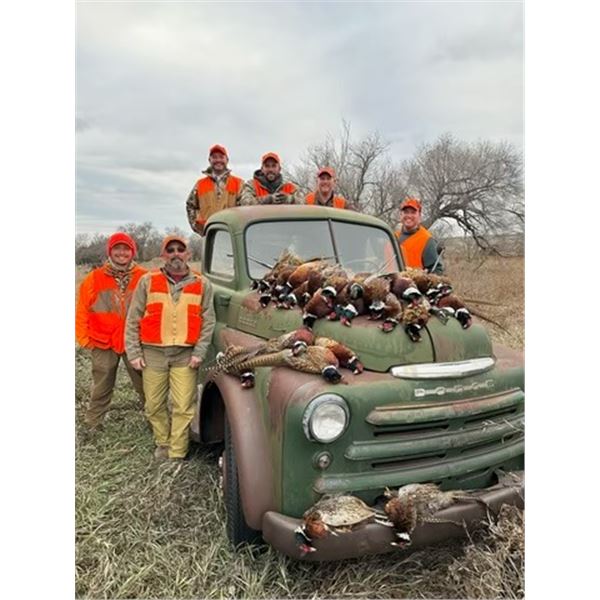 South Dakota Pheasant for 1 Hunter