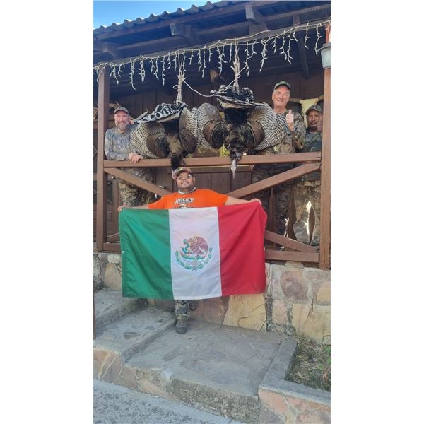 Mexican Gould's Turkey Hunt for 1 Hunter