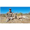 Image 1 : Mexican Coues Deer Hunt for 1 Hunter