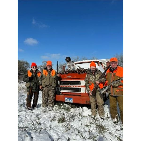 South Dakota Pheasant for 4 hunters