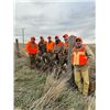 Image 4 : South Dakota Pheasant for 4 hunters