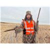 Image 7 : South Dakota Pheasant for 4 hunters